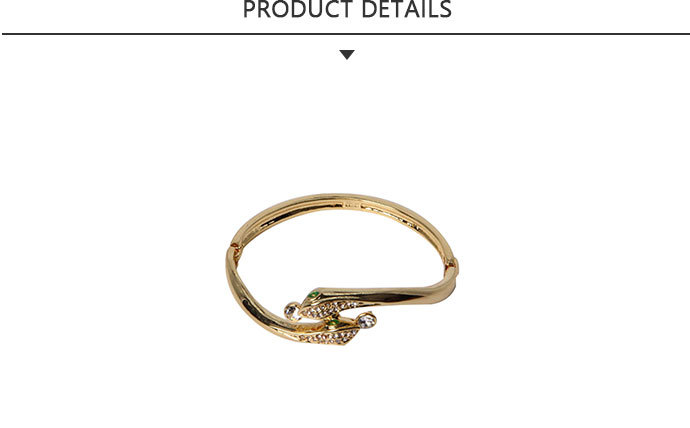 Hot Product Gold Plated Fashion Bangle for Party